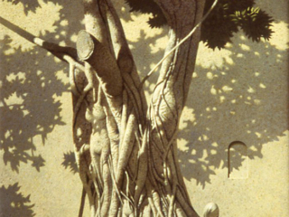 Banyan Reverie Banyan Reverie